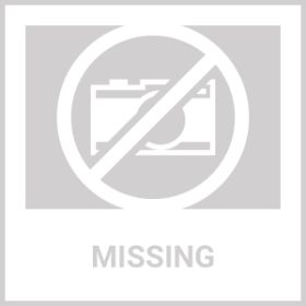 Do Not Sell On Amazon Pumpkin Powder For Dogs Digestive Support 8 OZ Fiber Supplement For Constipation For Gut Balance Healthy Skin Digestion Glands F